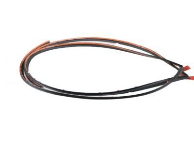 Front Windshield Moulding Toyota Corolla 2009